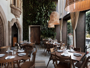 Taboo Polanco - The Best Mediterranean Cuisine in Polanco, Mexico City