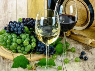 Discover the best Mediterranean wines