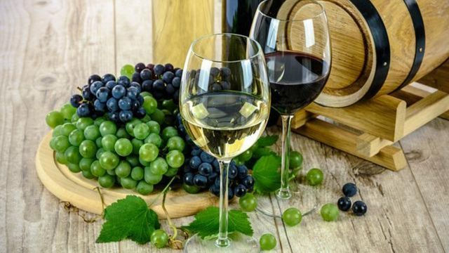 the best Mediterranean wines
