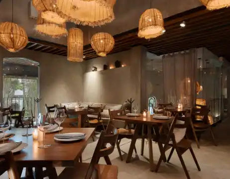 Discover the best restaurant terraces in Mexico City