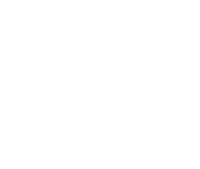 Mestiza Logo